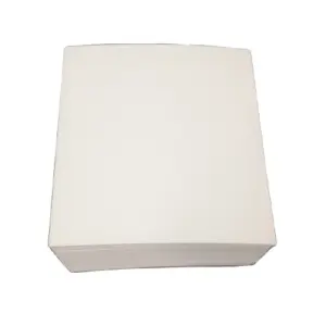 AATCC Blotting Paper 100 Pcs Per Packet