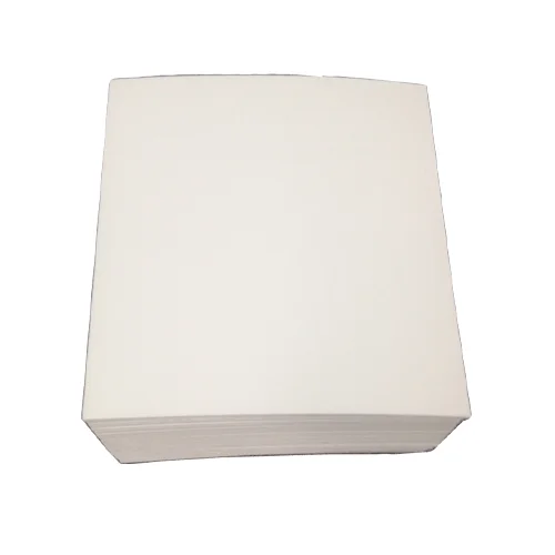 AATCC Blotting Paper 100 Pcs Per Packet