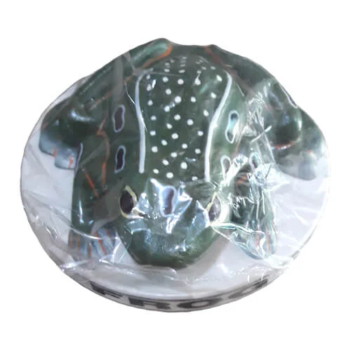Frog Artificial Model on Board