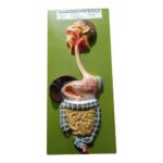 Human Digestive System Model