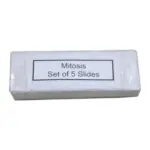Mitosis Permanent Slide 1 Set