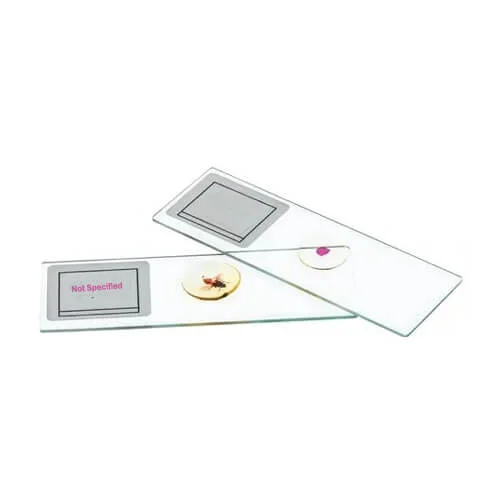 Permanent Slide (Specimen)