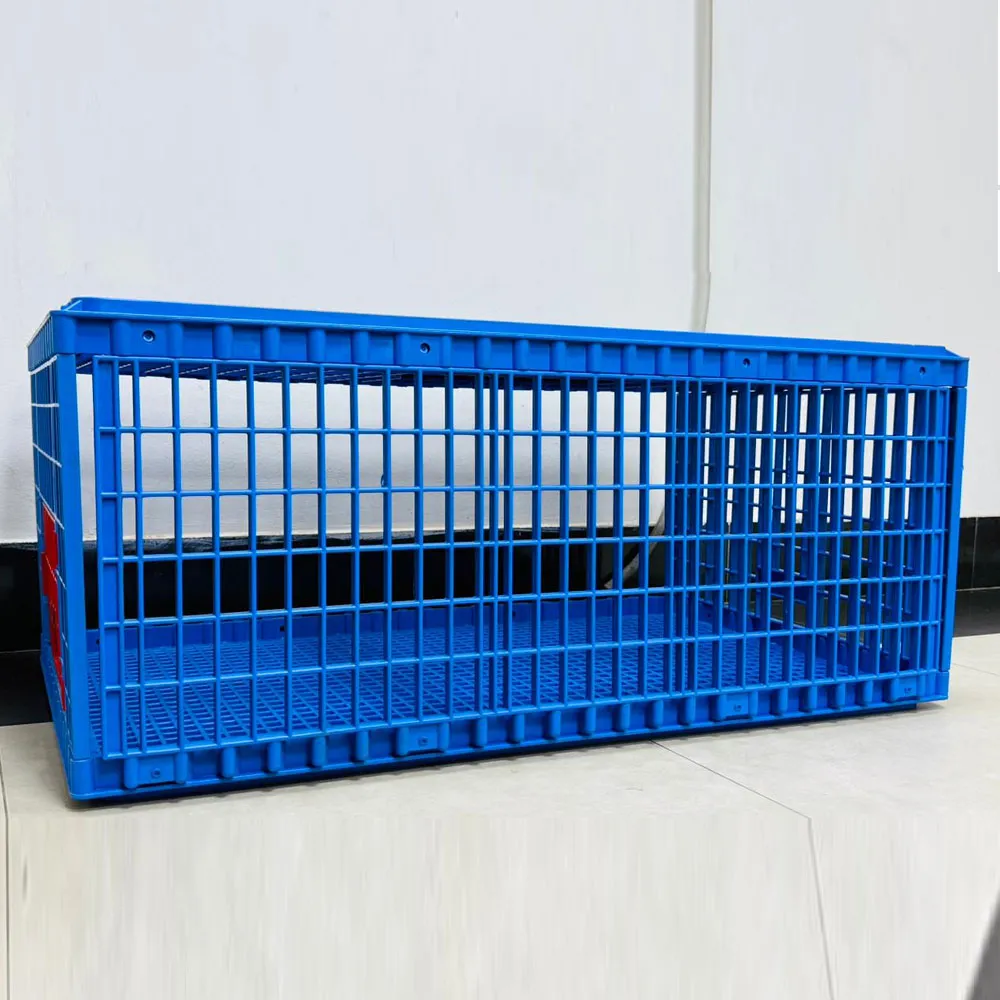 Poultry Carrier Crate – Plastic Chicken Transport Box - Image 5