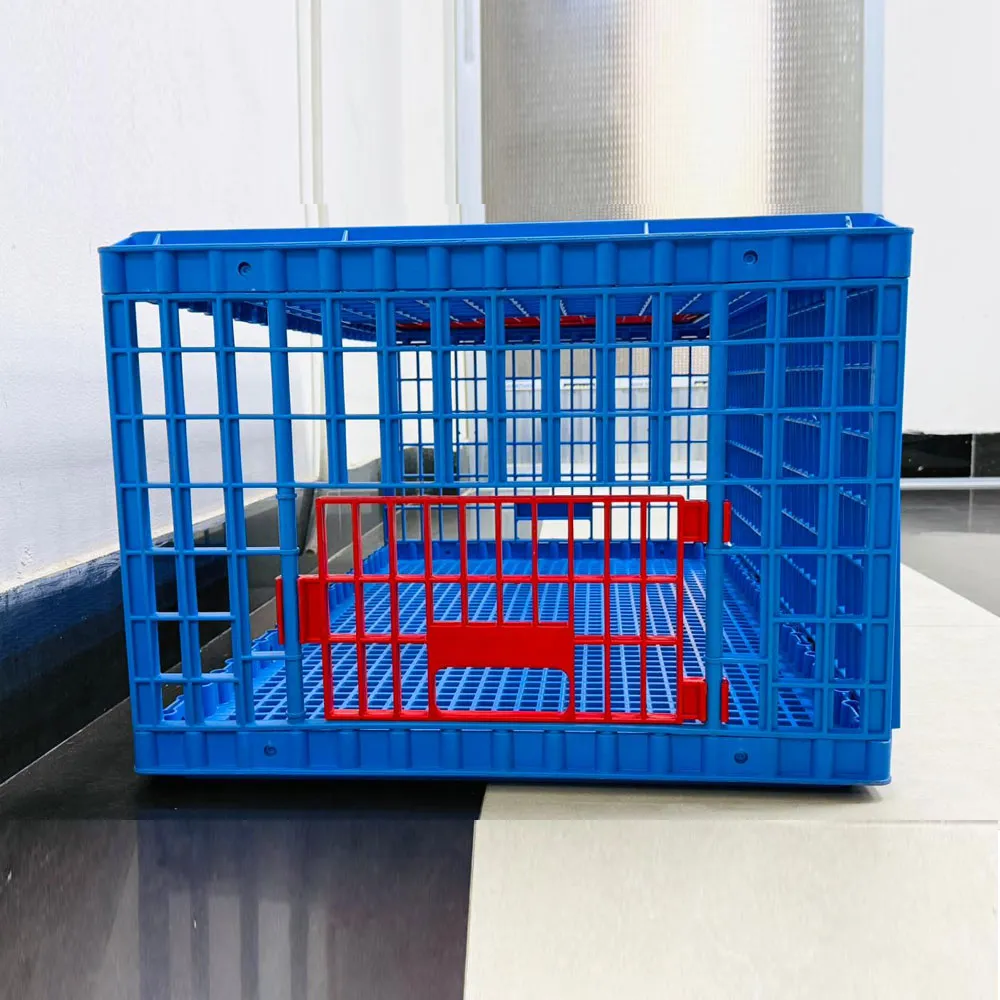 Poultry Carrier Crate – Plastic Chicken Transport Box - Image 3
