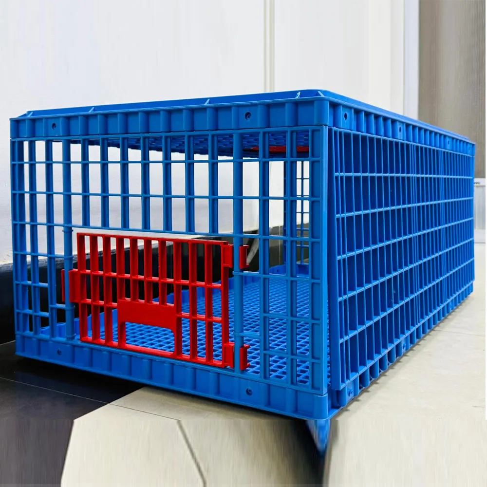 Poultry Carrier Crate – Plastic Chicken Transport Box - Image 4