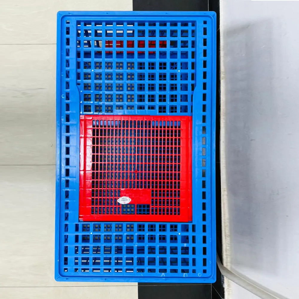 Poultry Carrier Crate – Plastic Chicken Transport Box - Image 2