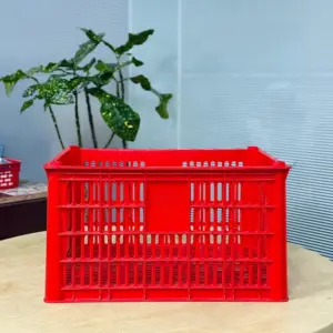 Multipurpose Use Crate Price in Bangladesh