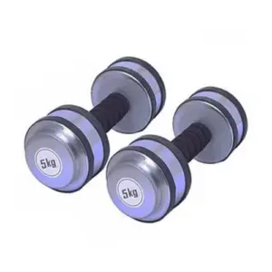 Silver Dumbbell Set with Rubber Gripped 10kg (5kg X 2